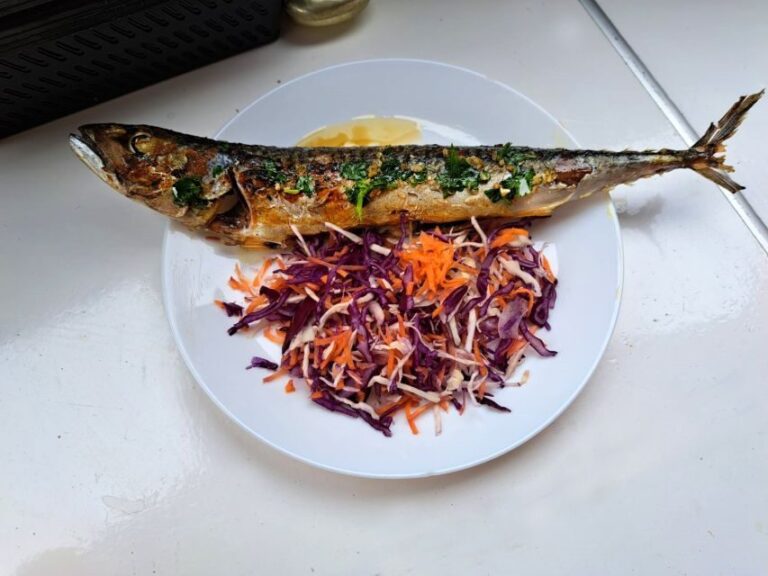 Pula: National Park Brijuni Island Visit & Dolphin Cruise - The Experience From Start to Finish