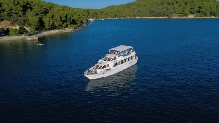 Pula: New Year Special Dolphin Sunset Cruise & Dinner - The Food and Drink