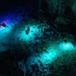 Pula: Night Kayak Tour with Glowing Kayaks - What to Expect from the Tour