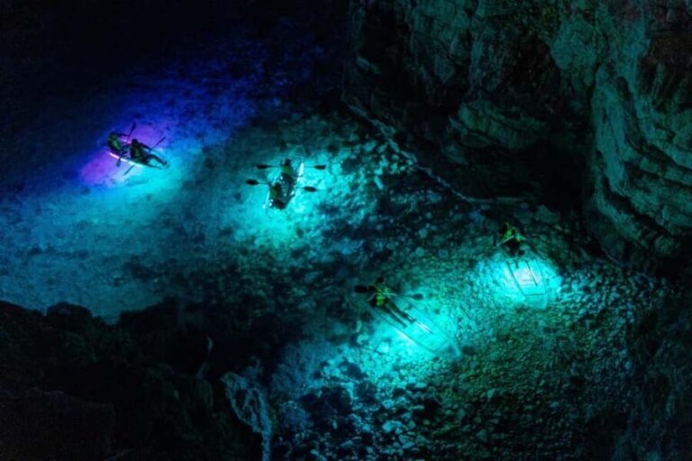 Pula: Night Kayak Tour with Glowing Kayaks - What to Expect from the Tour