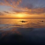 Pula: Private Sunset Boat Trip with Dolphins - The Inside Scoop on the Private Sunset Boat Trip