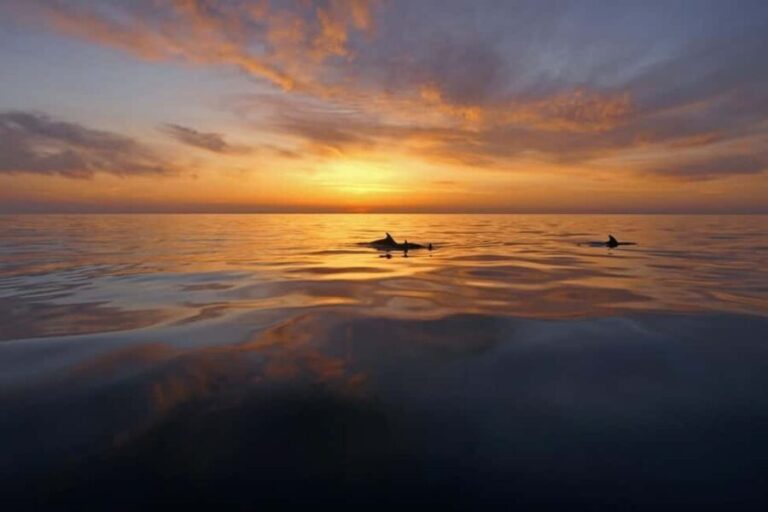 Pula: Private Sunset Boat Trip with Dolphins - The Inside Scoop on the Private Sunset Boat Trip