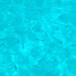 Punta Bianca: boat tours in the wildest nature reserve - The Value of a Short, Scenic Trip