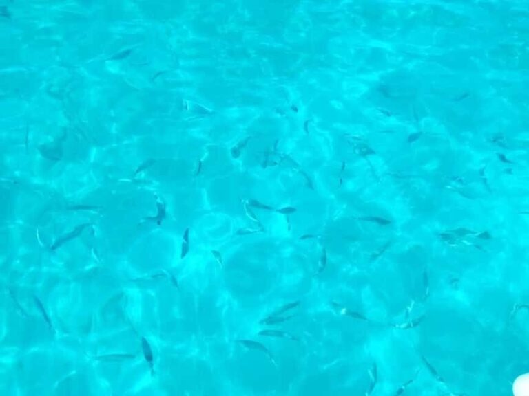 Punta Bianca: boat tours in the wildest nature reserve - The Value of a Short, Scenic Trip