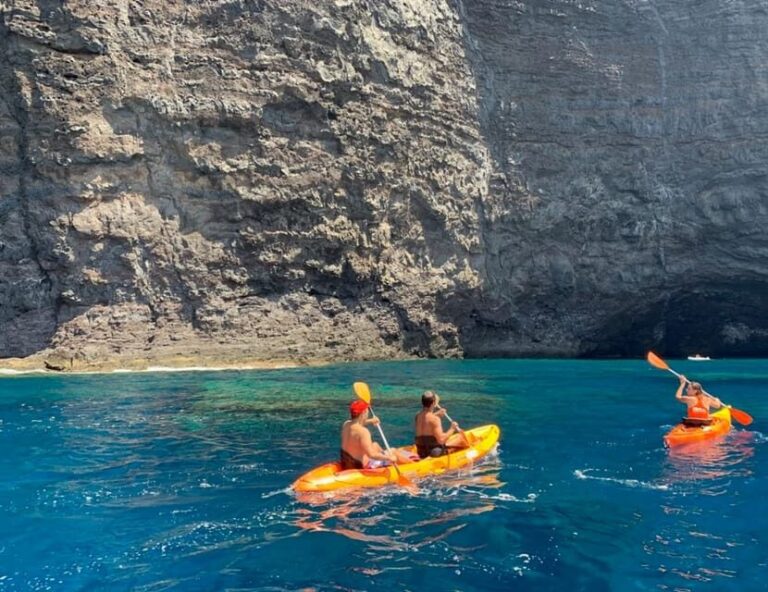 Punta de Teno: Kayak Safari overlooking Los Gigantes Cliffs - What Travelers Say