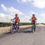 Punta Sur Eco Beach Park Electric Bike Tour in Cozumel - Is This Tour Worth the Price?
