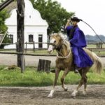 Puszta Tour and Horse Show - The Journey to the Puszta: Hungarian Countryside at Its Best