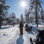 Pyhä: Forest Trails Snowmobile Safari - Who Would Enjoy This Tour?