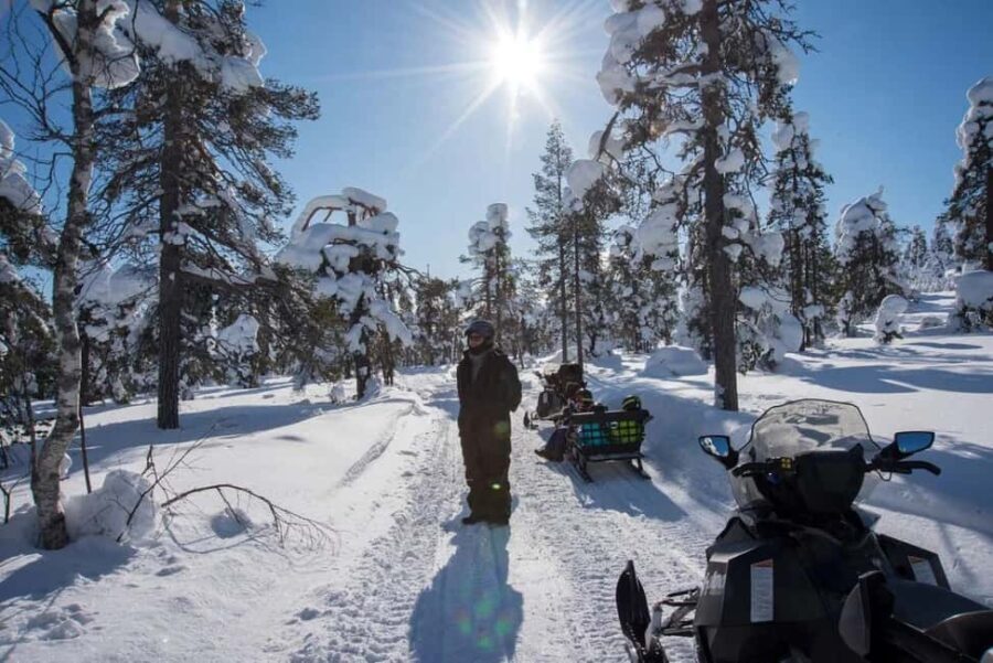 Pyhä: Forest Trails Snowmobile Safari - Who Would Enjoy This Tour?