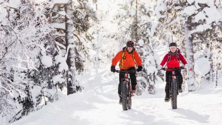 Pyhätunturi: Electric Fatbike Tour in Finnish Lapland - Why Youll Love the Pyhätunturi Electric Fatbike Tour