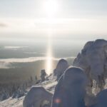 Pyhätunturi: Scenic Snowshoeing Tour in Finnish Lapland - The Experience and Its Value