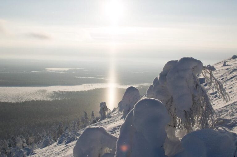 Pyhätunturi: Scenic Snowshoeing Tour in Finnish Lapland - The Experience and Its Value