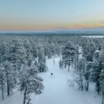 Pyhätunturi: Try Wilderness Skiing in Finnish Lapland - The Itinerary: What to Expect