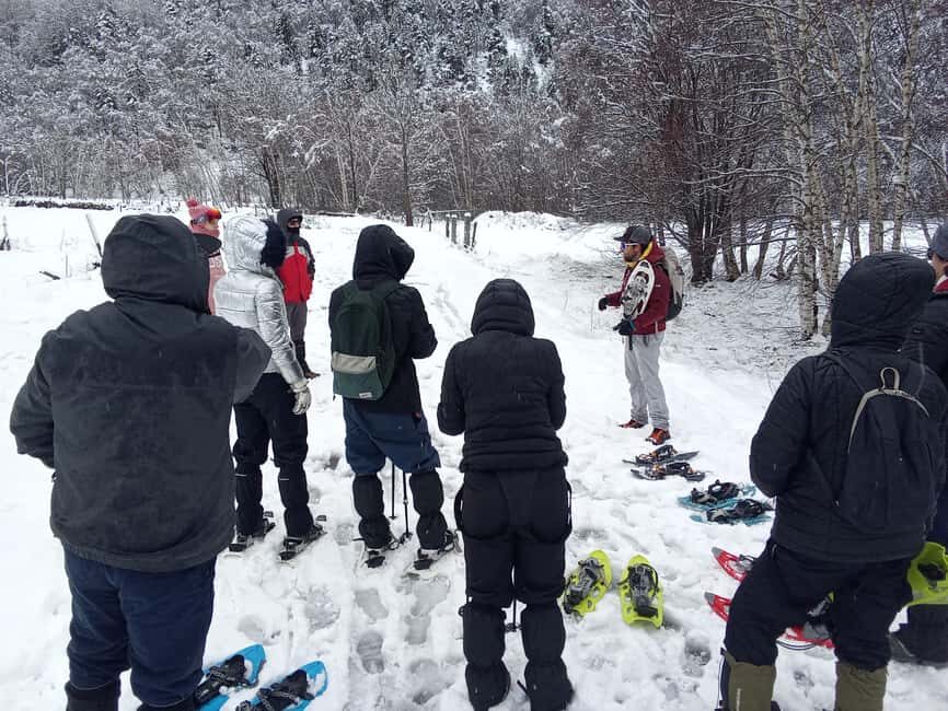 Pyrenees: Family Snowshoe Tour and Igloo Building - The Itinerary in Detail