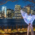 QC Spa New York - Who Should Consider This Experience?