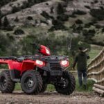 Quad Bike Safari in the Wilderness (ATV) - What Past Travelers Say