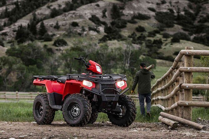 Quad Bike Safari in the Wilderness (ATV) - What Past Travelers Say