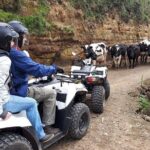 Quad Bike Tour - Sete Cidades from North Coast (Full Day) with lunch - Practical Details and Considerations