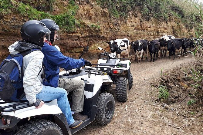 Quad Bike Tour - Sete Cidades from North Coast (Full Day) with lunch - Practical Details and Considerations