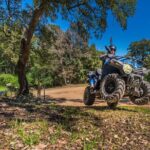 Quad excursion in the Maremma with barbecue in the woods - What Makes This Tour Special?