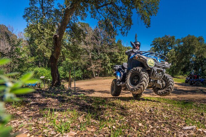 Quad excursion in the Maremma with barbecue in the woods - What Makes This Tour Special?