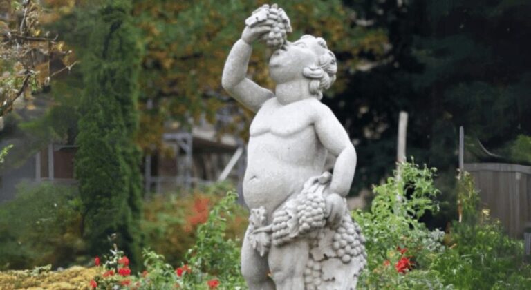 Quedlinburg UNESCO World Heritage Group Tour (private) - Real Travelers Voices