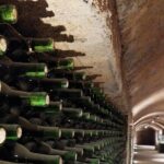 Quiero mas vino, valle de Guadalupe Tours - The Experience: What Travelers Are Saying