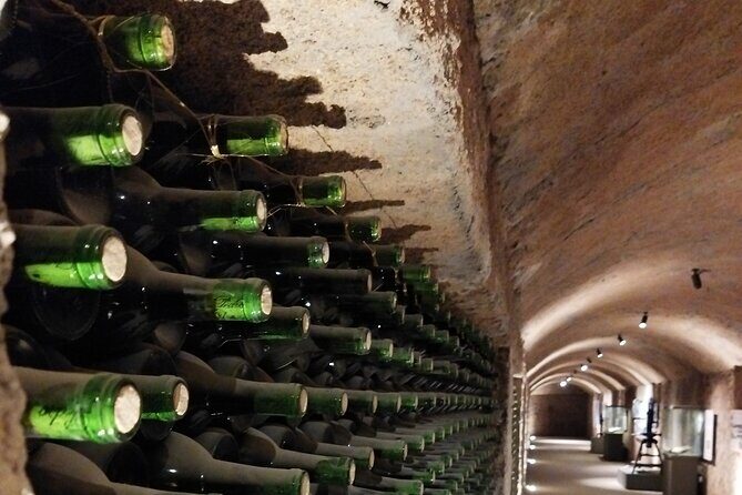 Quiero mas vino, valle de Guadalupe Tours - The Experience: What Travelers Are Saying