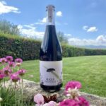 Quinta da Raza Natural Wines - Final Thoughts