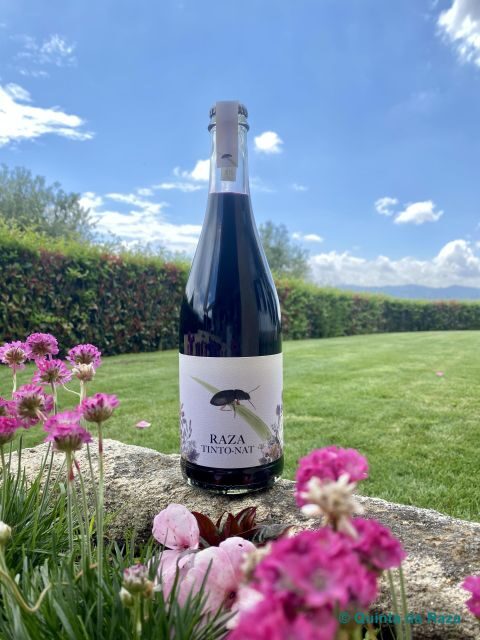 Quinta da Raza Natural Wines - Final Thoughts