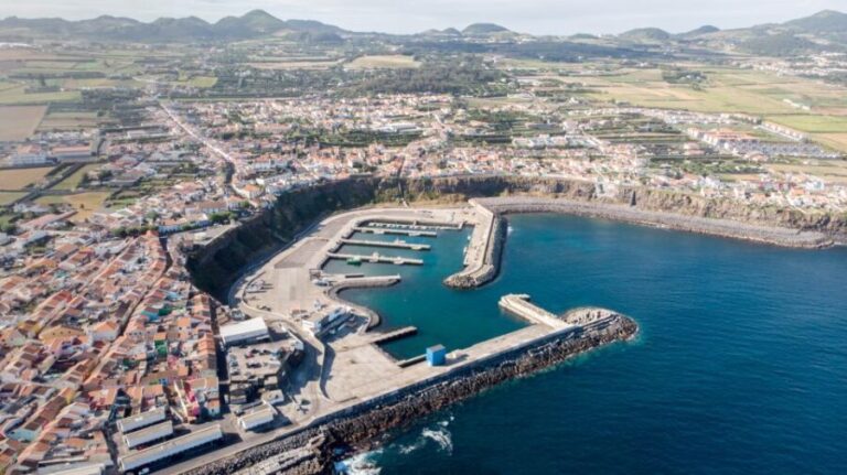 Rabo de Peixe: Sperm Whale Sanctuary Expedition - The Experience: What You Can Expect