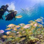 Radazul: Diving Trip in Radazul Bay with Drinks - Is it Worth the Price?