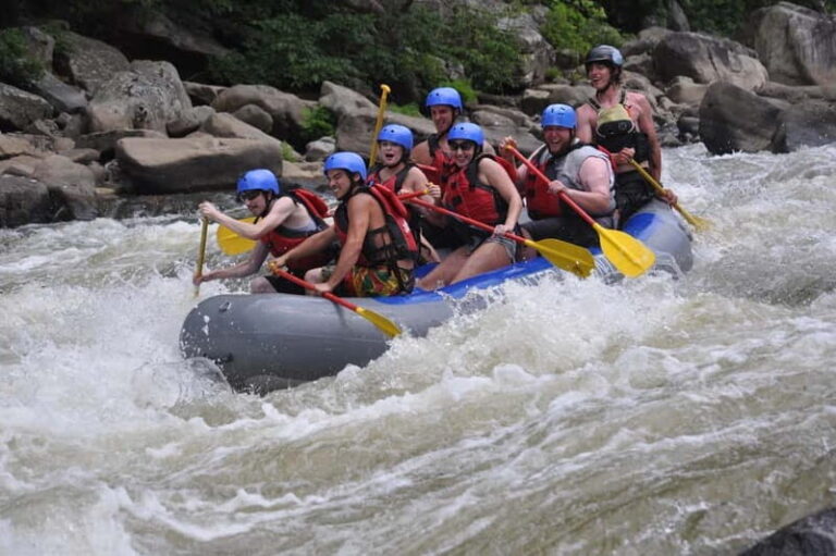 Rafting Tour, Transfer & Combo Options with Veg Lunch Option - The Details: What You Can Expect