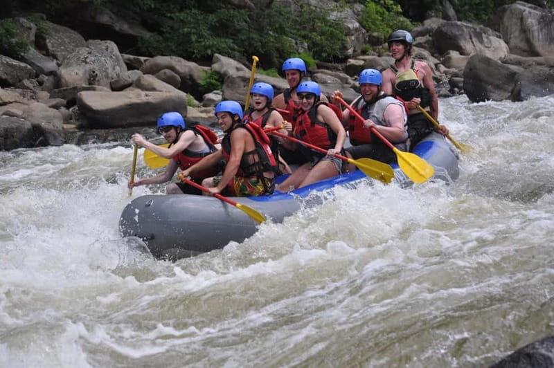 Rafting Tour, Transfer & Combo Options with Veg Lunch Option - The Details: What You Can Expect