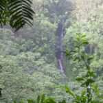 Rainforest Waterfall Trail and Shuttle Service - Who Should Consider This Tour?