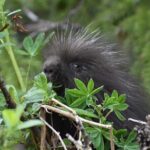 Rainforest & Waterfalls Trek - The Value for the Price