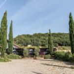 Raise a Glass: Exclusive Wine Experiences Near Orvieto - What You Can Expect During the Tour