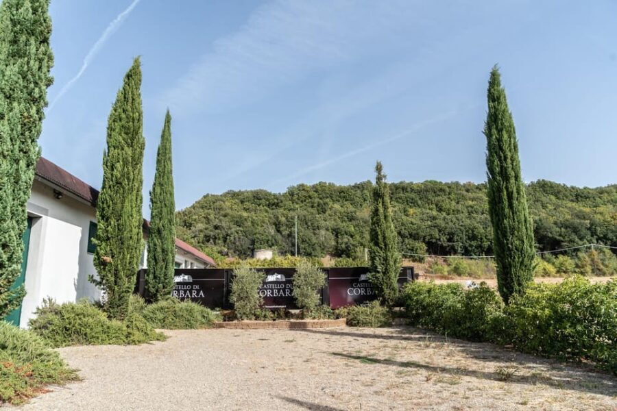 Raise a Glass: Exclusive Wine Experiences Near Orvieto - What You Can Expect During the Tour