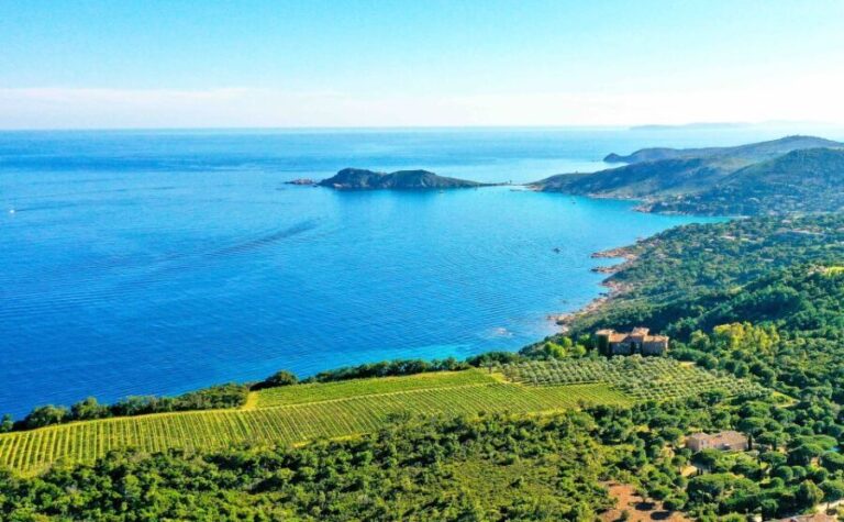 Ramatuelle: Tracks & Tasting Winery Tour by Mountain E-Bike - Who Should Consider This Tour?