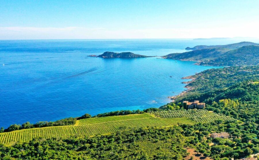 Ramatuelle: Tracks & Tasting Winery Tour by Mountain E-Bike - Who Should Consider This Tour?