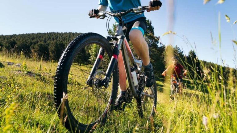 Rando-Vélo: Discovery and Leisure - Who Is This Tour Best For?