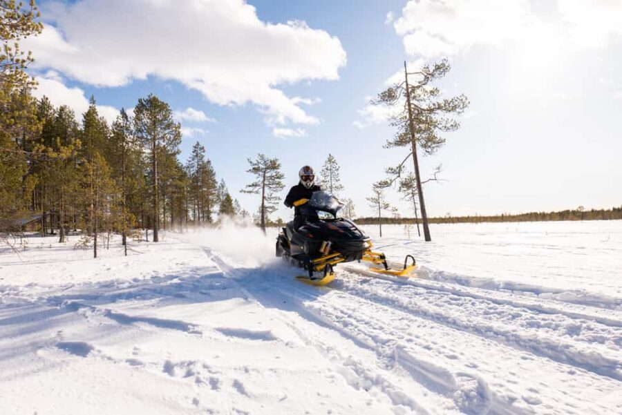 Ranua: Snowmobile Safari with Hot Drink - The Itinerary in Detail