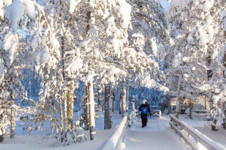 Ranua: Wildlife Park Entrance Ticket - Who Is This Tour Best For?