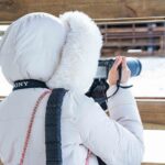 Ranua Wildlife Park Photography Tour - The Itinerary in Detail