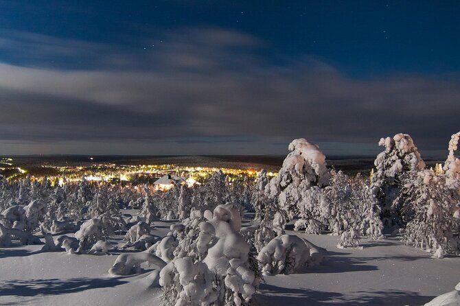 Ranua Zoo- Guided day tour from Rovaniemi - What We Loved and What to Consider