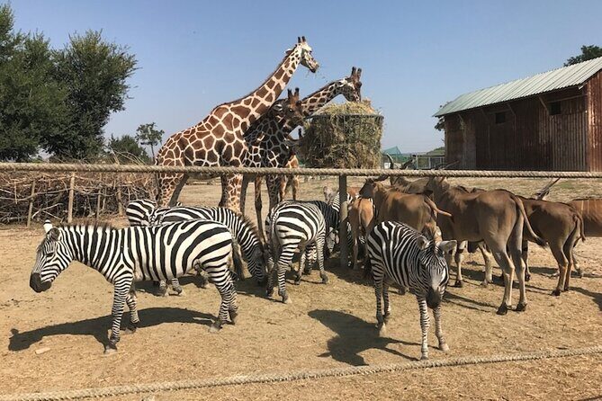Ravenna: Safari Ravenna entrance ticket - The Experience on the Ground