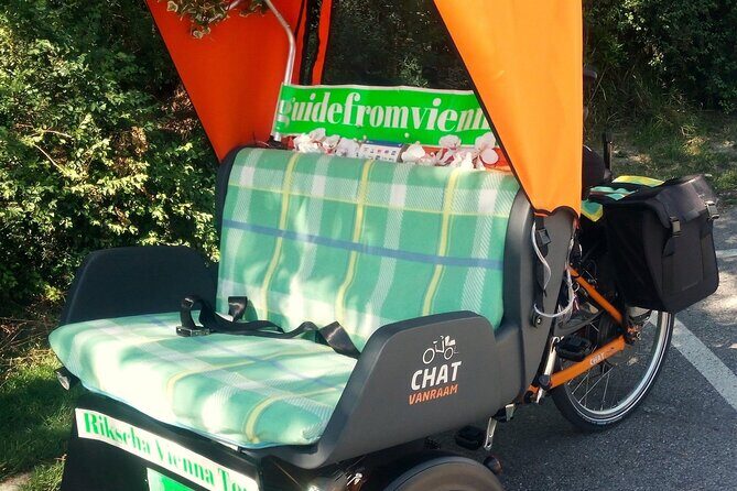 RAXI (E-Rickschaw) big private Vienna tour - What to Expect During the Ride