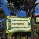 Real Hawaii Circle Island Tour - Pricing and Value