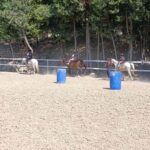 Recanati: Horse riding lessons for kids and adults - The Value of a Horseback Riding Lesson in Recanati