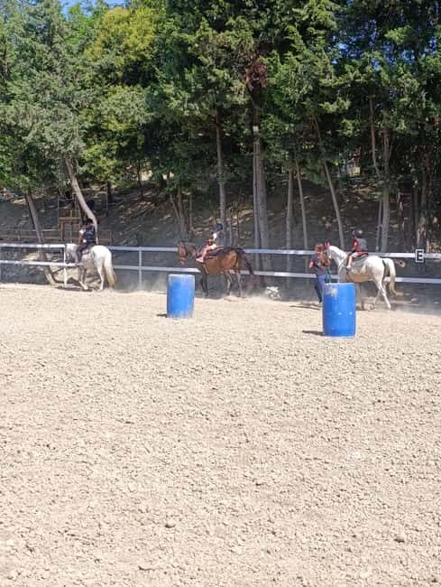 Recanati: Horse riding lessons for kids and adults - The Value of a Horseback Riding Lesson in Recanati